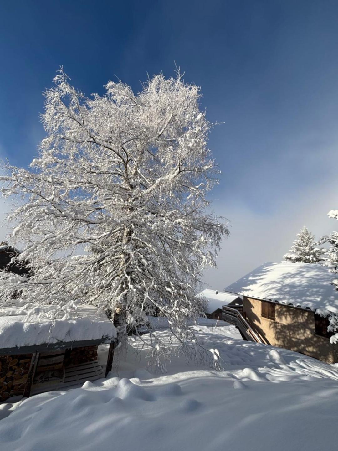 Chalet Rouge Ou Blanc Villard-Reculas Exterior photo